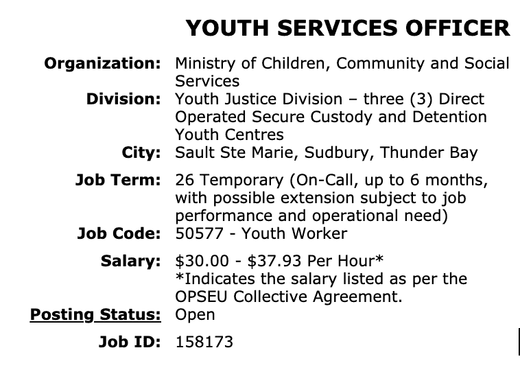 Youth Services Officer